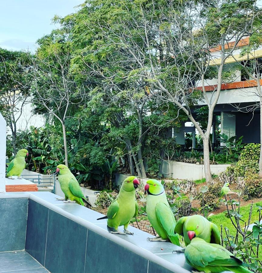 Good Vibes Apartman Costa Del Silencio Kültér fotó