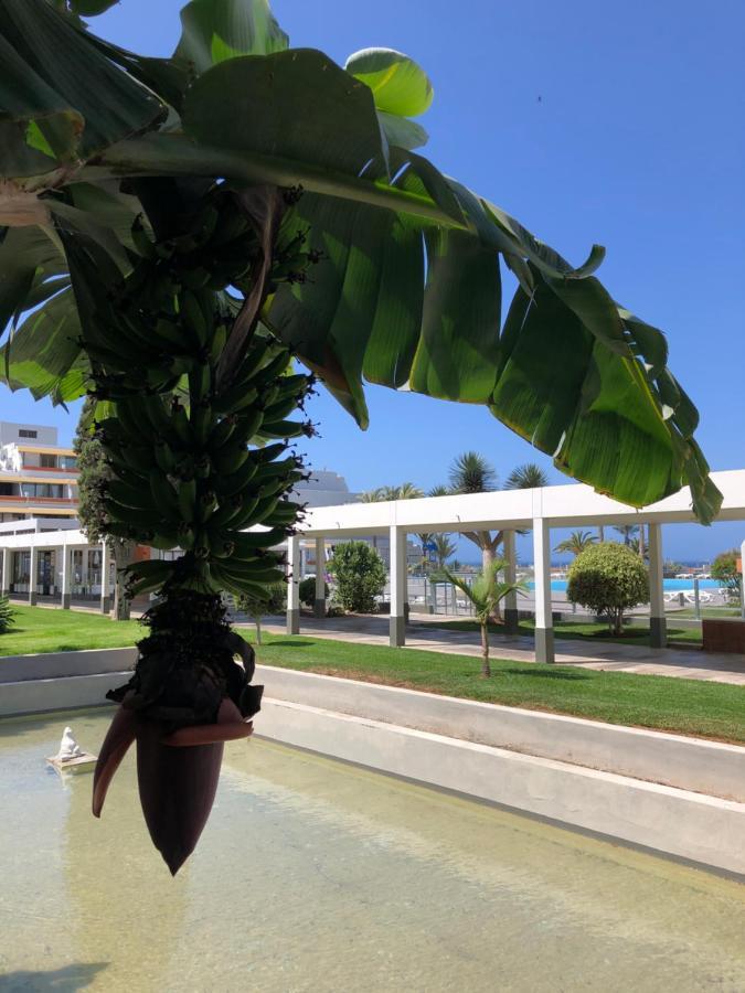 Good Vibes Apartman Costa Del Silencio Kültér fotó