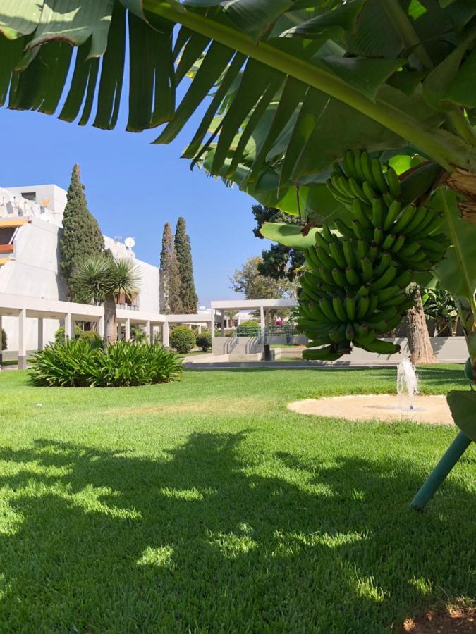 Good Vibes Apartman Costa Del Silencio Kültér fotó