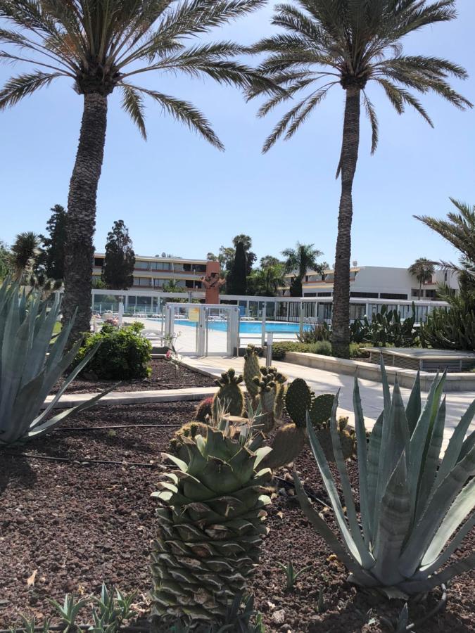 Good Vibes Apartman Costa Del Silencio Kültér fotó